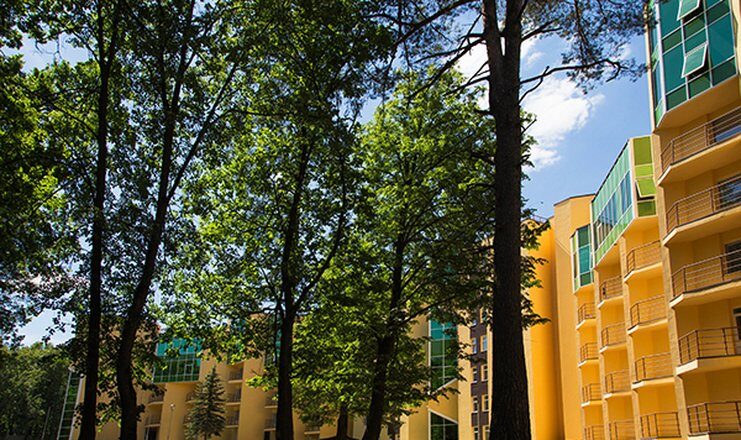 aaa