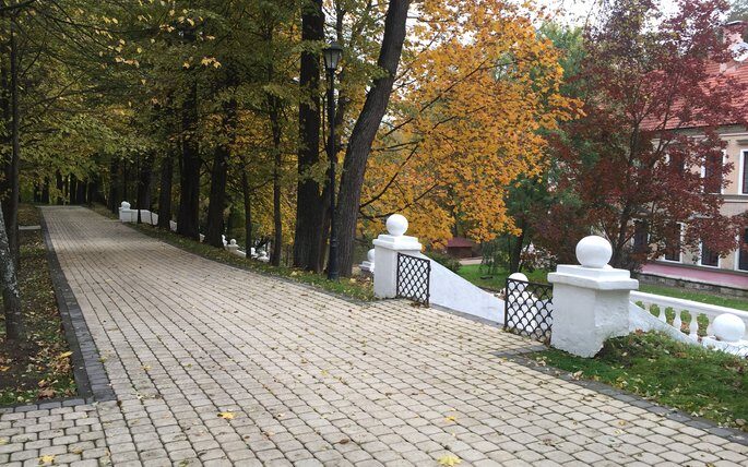 aaa