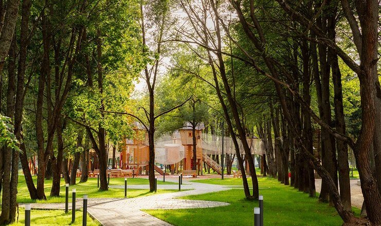 aaa